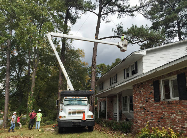 Lawn Irrigation Installation and Maintenance in Buckingham, FL