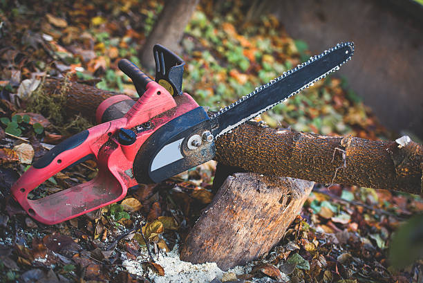 Best Lawn Maintenance Plans  in Buckingham, FL